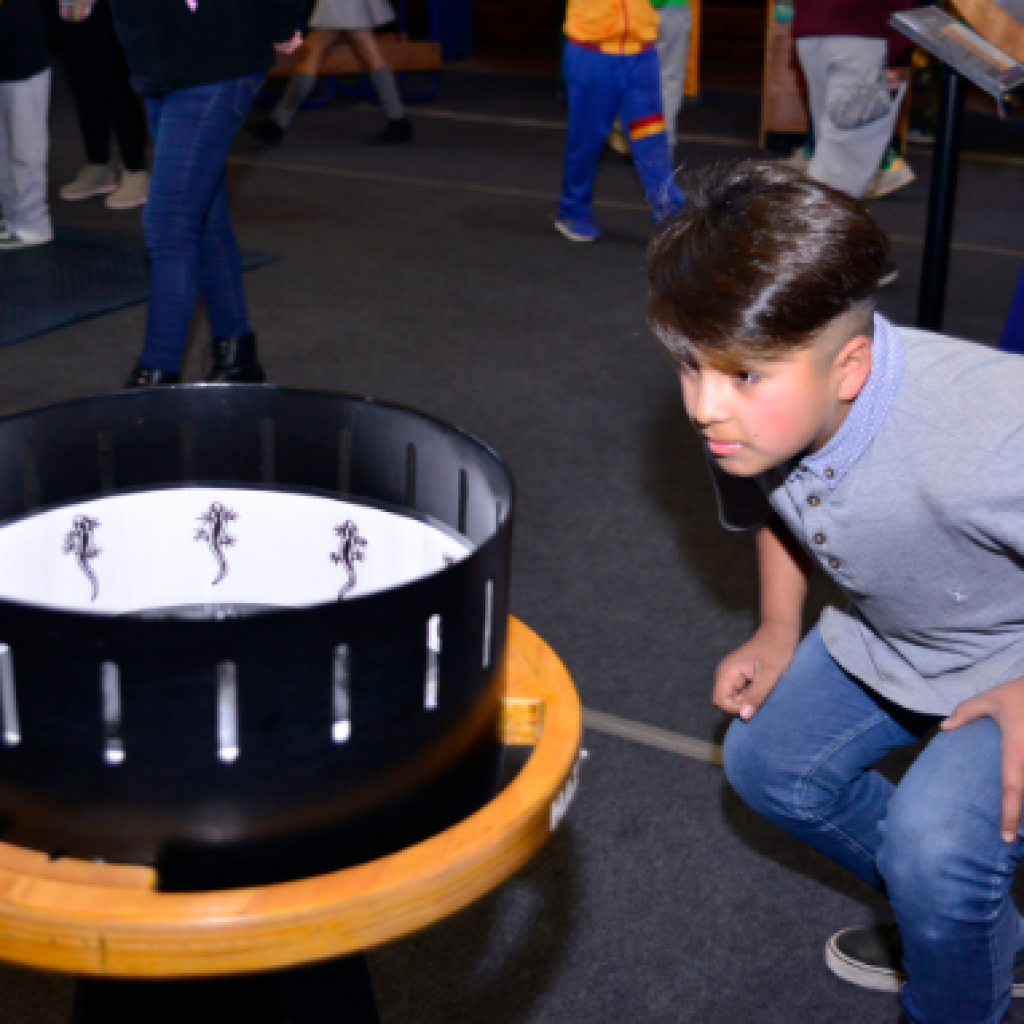 Museo Interactivo Mirador regresa a la ciudad de Victoria con la exposición ‘Despertar de los sentidos’