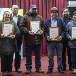 Reconstrucción Post Incendios: Certificación y Apoyo a Empresarios en La Araucanía.
