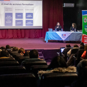 Ley de Autismo en acción: Victoria impulsa seminario para fortalecer atención a estudiantes con TEA.