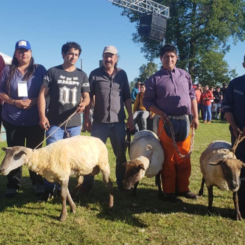 Festival de La Esquila: Tradición y Cultura local
