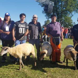 Festival de La Esquila: Tradición y Cultura local