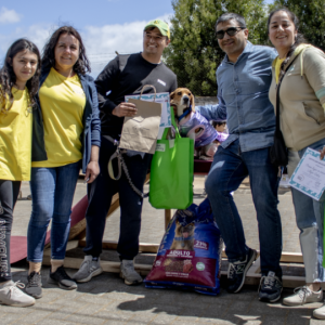 Primer Encuentro Intercomunal de Agrupaciones a Favor de Los Animales para La Región de La Araucanía, se realiza en Victoria