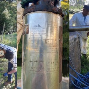 Negligencia del Gobierno: Más de dos mil personas de Selva Oscura pasarán su fiesta de año nuevo sin agua potable.