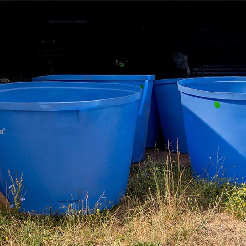 Proyecto de Abastecimiento de Agua Potable: 40 Estanques entregados y 73 en camino