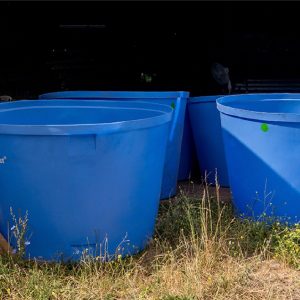 Proyecto de Abastecimiento de Agua Potable: 40 Estanques entregados y 73 en camino