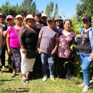 Mujeres del Programa Familias Seguridades y Oportunidades se Capacitan en Tecnologías Sustentables para la Agricultura