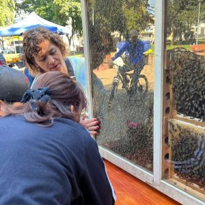 Exitosa Feria Apícola 2024: Aprendizaje y Promoción de la Apicultura