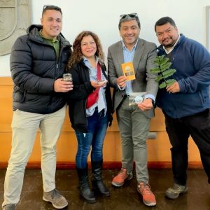 Avellanas Andinas Llaima en Inglaterra: Estudio de La Universidad de Londres, permitirá la investigación de cáscaras de avellana nativa