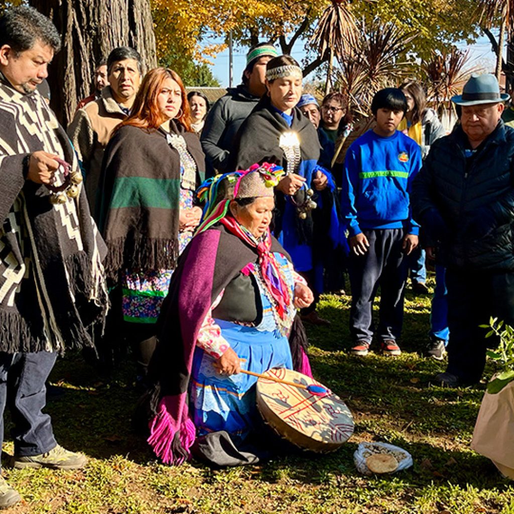 Trafkintu: Celebrando la Cultura Mapuche