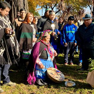 Trafkintu: Celebrando la Cultura Mapuche