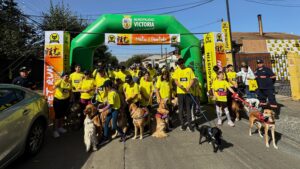 Victoria celebra su aniversario con icónica PET RUN