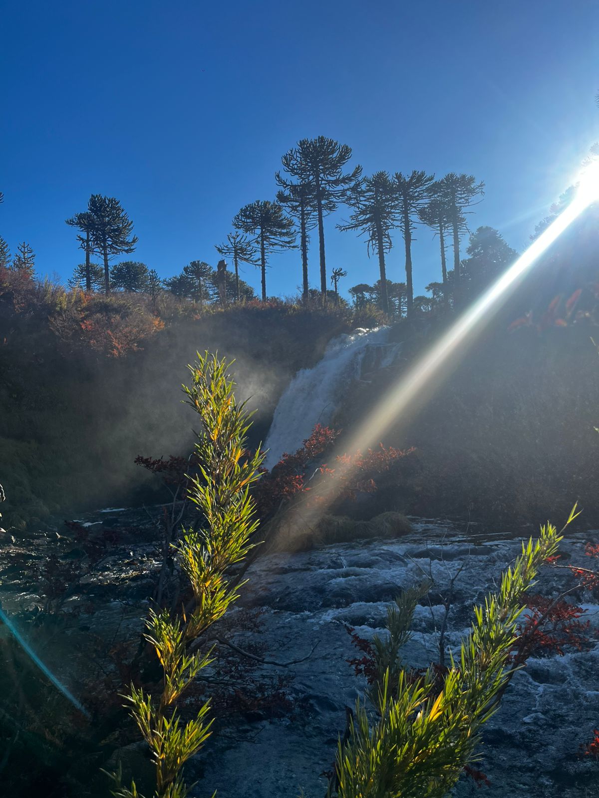 WhatsApp Image 2025-10-23 at 19.37.26-2