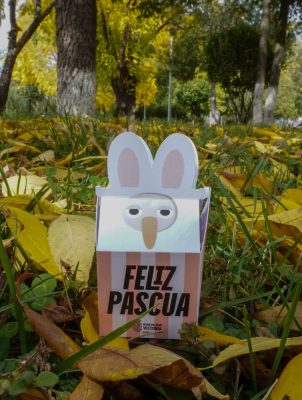 662305622_1271818238376911_4907097158542875963_n