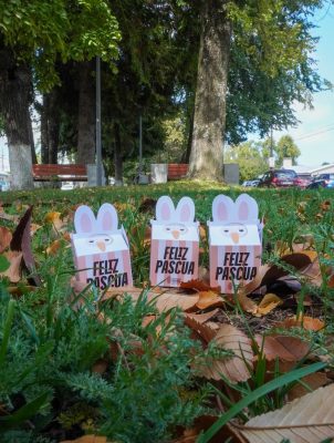 666048812_1271818305043571_226111960260434446_n