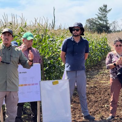 WhatsApp Image 2026-03-02 at 13.10.24