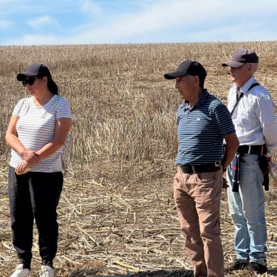 WhatsApp Image 2026-03-02 at 13.10.25-2