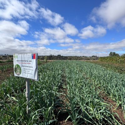 WhatsApp Image 2026-03-02 at 23.16.49-2