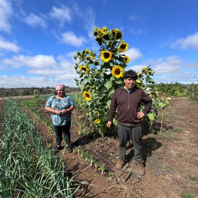 WhatsApp Image 2026-03-02 at 23.16.49