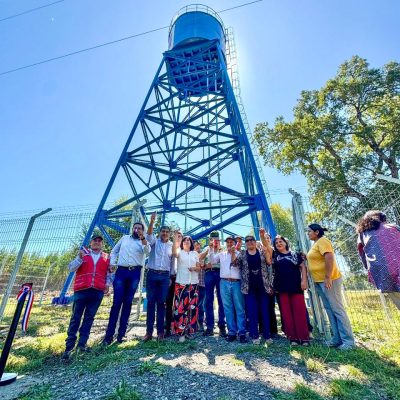 WhatsApp Image 2026-03-12 at 12.21.30