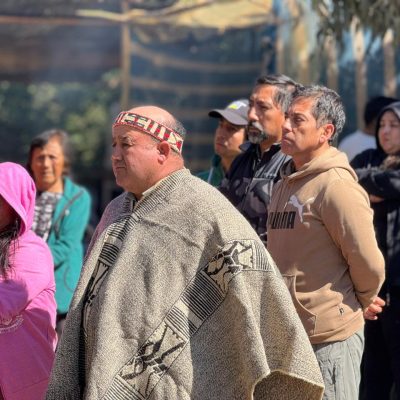 WhatsApp Image 2026-03-16 at 17.48.26-2